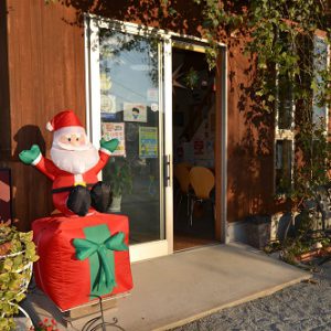 クリスマスディスプレイ始めました