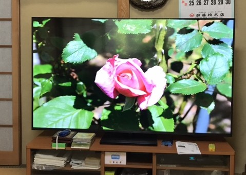 テレビ設置